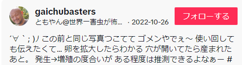 https://www.tiktok.com/@gaichubasters/video/7158582989406964994?q=%E3%83%88%E3%82%B8%E3%82%B3%E3%83%A9%E3%83%9F&t=1700833143521